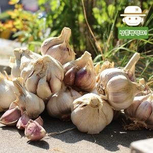 친환경팔도 황토랑 햇 통마늘/남도  대_이미지