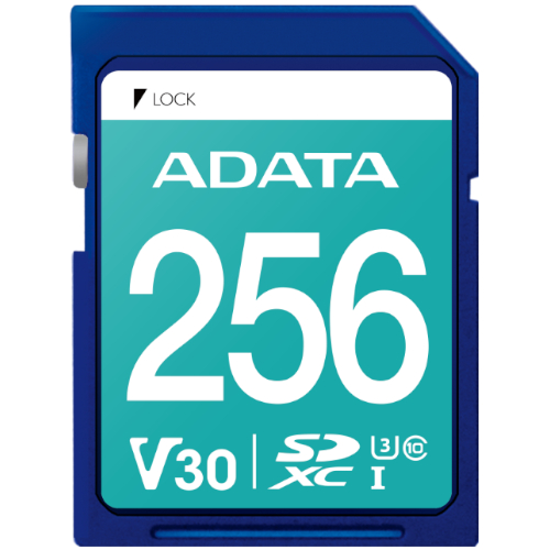 ADATA SD Premier Pro 2023 (256GB)_이미지