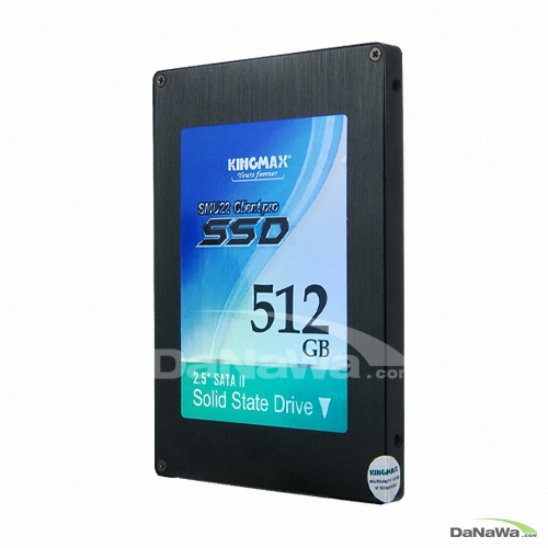 KINGMAX SMU22 Client Pro (512GB)_이미지