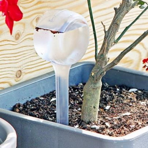 플라팜 워터케어 2P 1세트 화초 자동급수기 화분 물주기