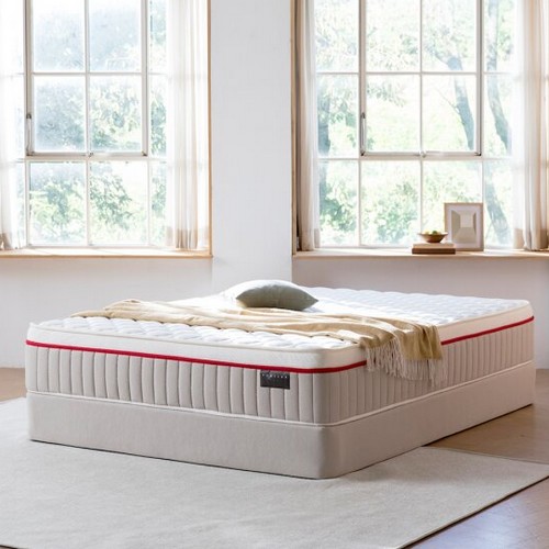 홈랩 기절 레드 매트리스 Q (23cm)_이미지