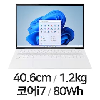 LG전자 2023 그램16 <b>16Z90R-GA76K</b>