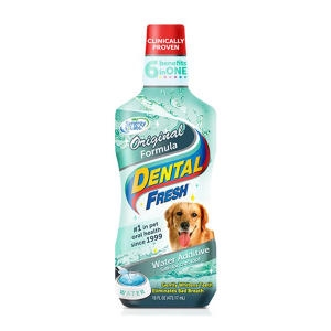 시너지랩 독 덴탈 후레쉬 오리지널 503ml (503ml)_이미지
