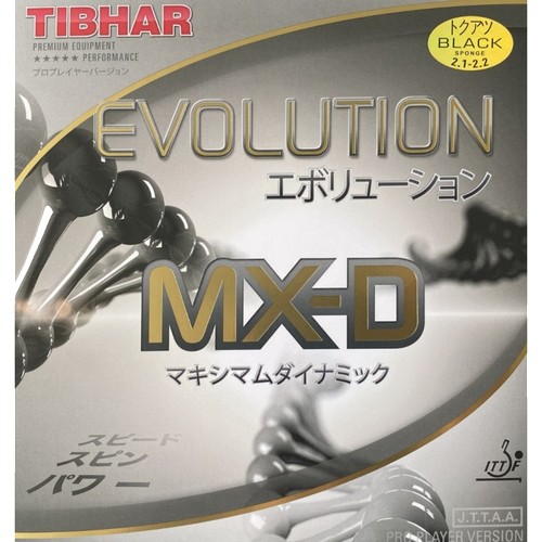티바 에볼루션 MX-D