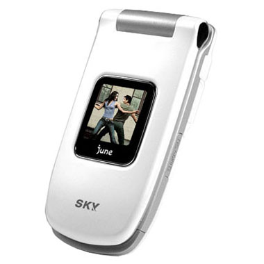 ���� SKY IM-S110 [SKT]