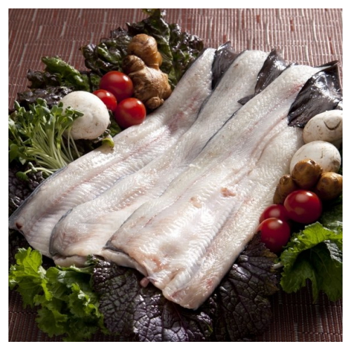 새벽장어 자포니카 민물장어 1kg