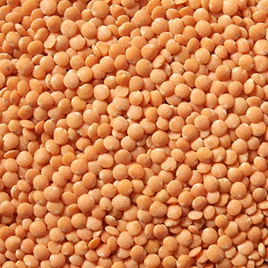 레드 렌틸콩 2kg