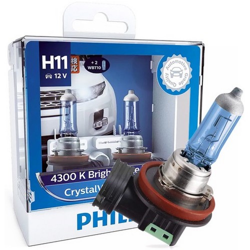 �ʸ��� ũ����Ż ����