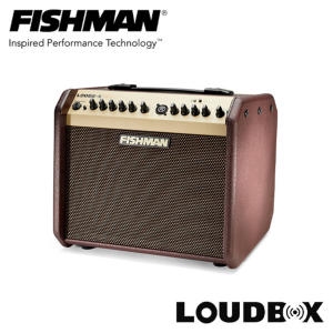 피쉬맨 어쿠스틱 앰프 LoudBox Mini BT