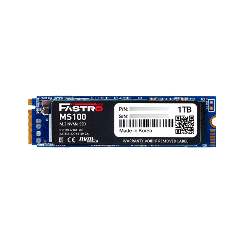 FASTRO MS100 M.2 NVMe (1TB)