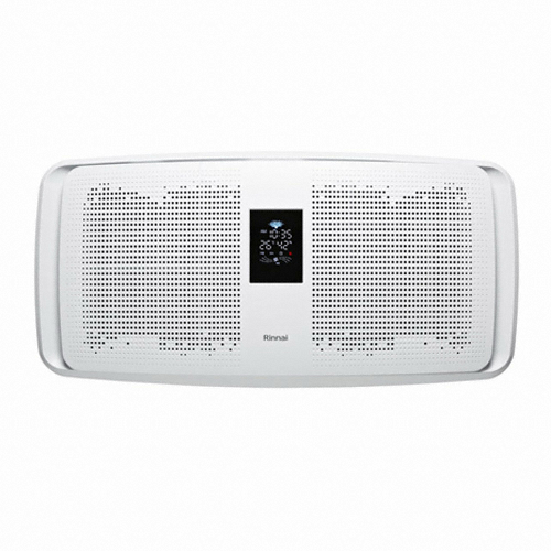 ������ RAP-T310W