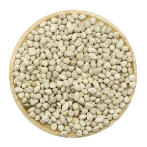 샘그린유통 모링가 씨앗 500g (1개)_이미지