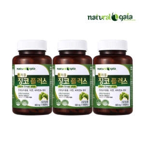 내츄럴가이아 징코 플러스 3병 은행잎추출물 혈행 혈액 순환 뇌 영양제_이미지