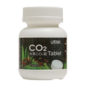 CO2 정제 100정