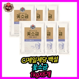 CJ제일제당 백설 꽃소금 1kg (6개)