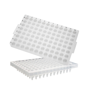 마이크로 96 PCR 플레이트 AX PCR-96M2-HS-C_이미지