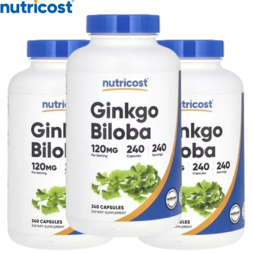 뉴트리코스트 징코 빌로바 120mg 240캡슐 (3개)