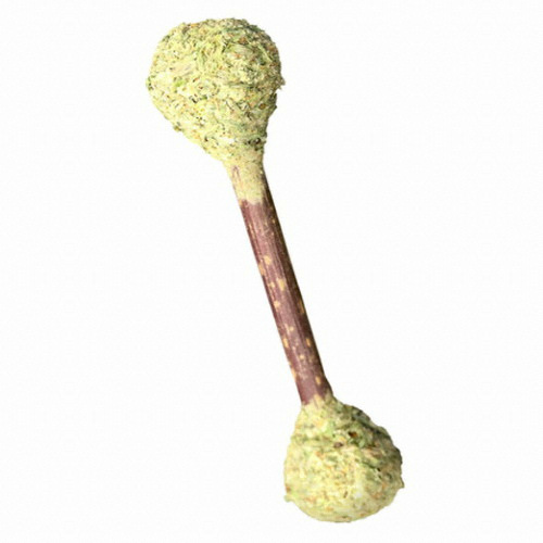 캣완트 캣닢 덴탈봉