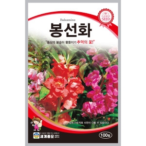 세계종묘 봉선화씨앗 100립_이미지