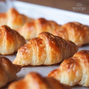 브리도 미니 크로아상 25g