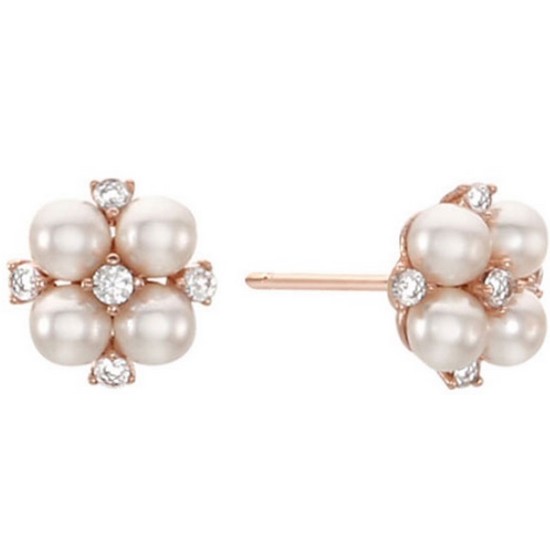 ����� SILVER �Ͱ��� RC0081