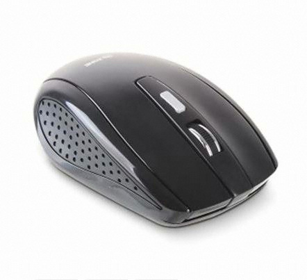 에이데이타코리아 DDZONE DM-W100 (블랙)_이미지