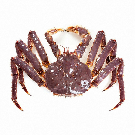 덤앤크랩 프리미엄 활킹크랩 레드킹크랩 3.8kg (1개)