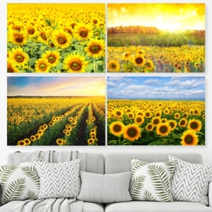 [�Ҹ�] ���� ������ �عٶ�� �׸� ���� ���� 8��