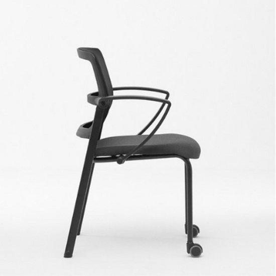 ��������� ���� ����