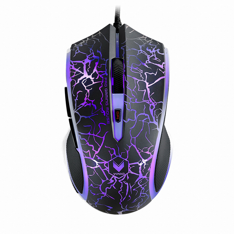 RAPOO V20