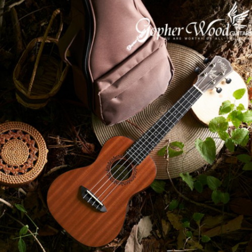 ���ۿ�� ��U70C Forte M