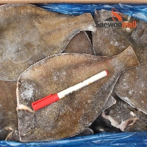 새우몰 도매 손질가자미 특대 4.5kg