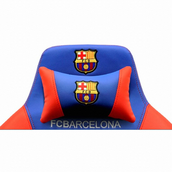 ���н� FC �ٸ����γ� ���̹� ����