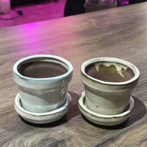 트리안 모던 도기화분 미니-컵 6x6cm랜덤색상/다육화분_이미지