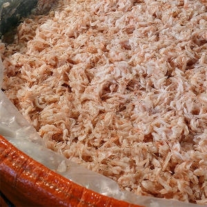 광천신광상회  광천토굴 새우추젓 상 2kg