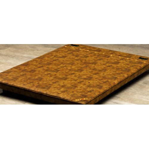 ��ǰ�Ƿ�� �뱸��C ����� MS