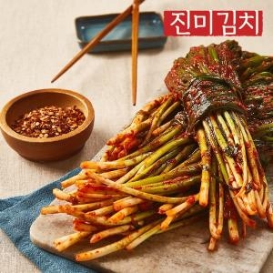  진미김치 전라도 파김치 4kg [1개]