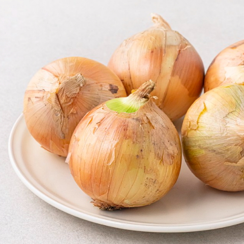 쿠팡 국내산 양파 대 1kg (1개)