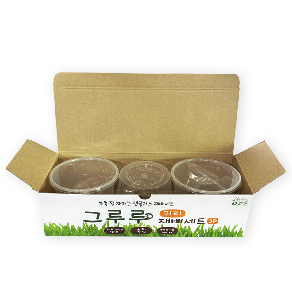 힐링타임 그루루 캣그라스 귀리 재배세트