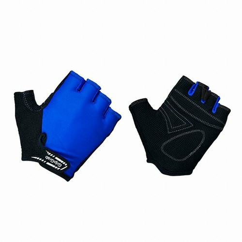 �׸��׷� ����Ʈ���̳� �ִϾ� ���尩