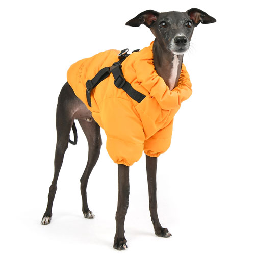 퍼피아 소프트 패딩 하네스 점퍼 오렌지 (XXL)_이미지