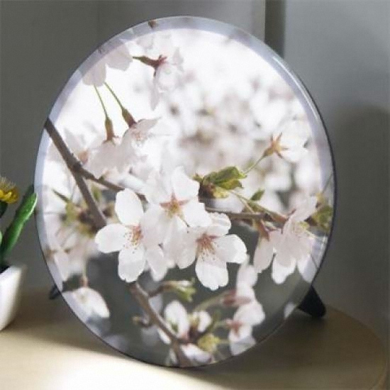 LED 시들지않는벚꽃 액자 무드등 25cm