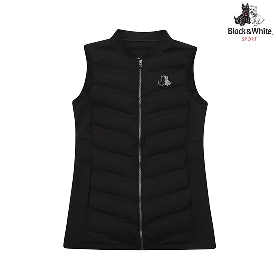 ������ȭ��Ʈ ĭ�ٿ� ���̺긮�� VT 1000LBGA