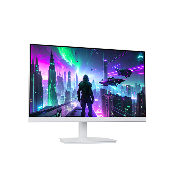 ���� �����ۺ� 24F165D IPS FHD 165 HDR