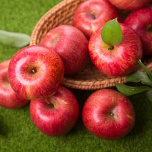 착한식탁 가정용 햇 부사 사과 중대과 5kg_이미지