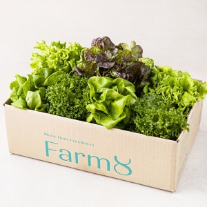 무농약 유러피안 샐러드 꾸러미 800g 1팩