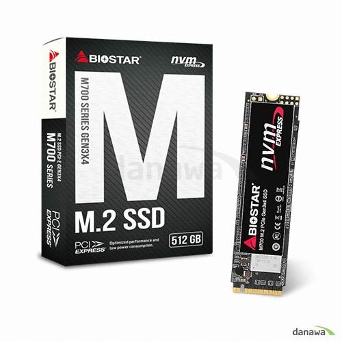 BIOSTAR M700 M.2 NVMe (512GB)_이미지