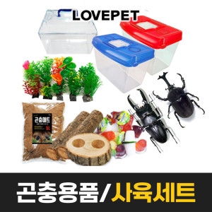 [불명] 장수풍뎅이 사슴벌레 사육세트_이미지