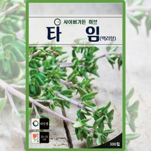 다농 타임 씨앗 백리향 씨 허브 종자 300립