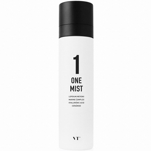 VT코스메틱 원 미스트 포 맨 120ml (1개)_이미지
